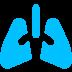 Lungs